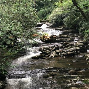 Meet your Posher, Char